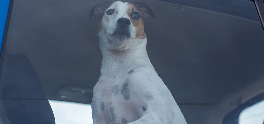 Car Lockout Solutions in Lemoore, California